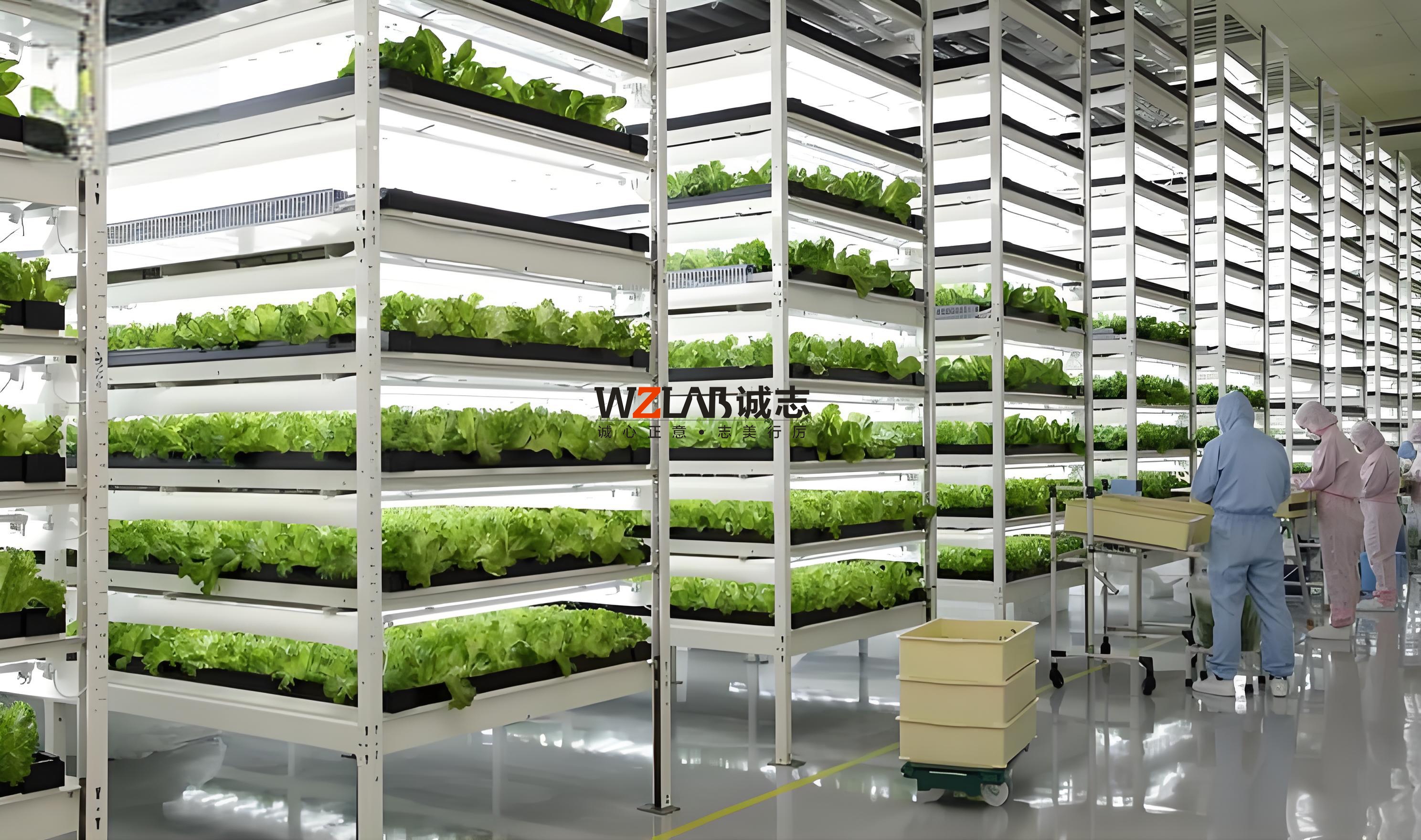 無土栽培實驗室設(shè)計方案