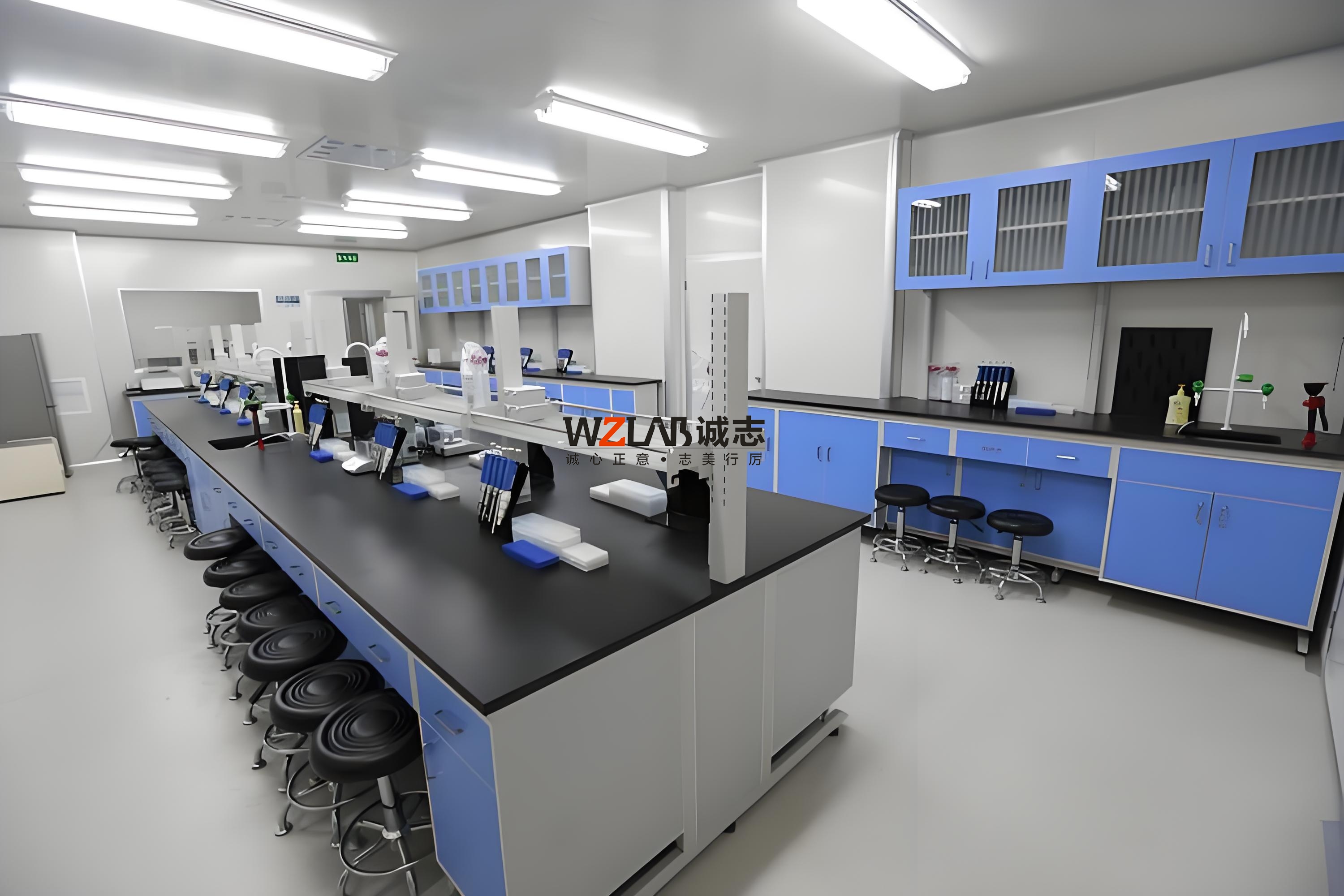 肉制品檢測檢驗(yàn)實(shí)驗(yàn)室規(guī)劃設(shè)計(jì)與施工