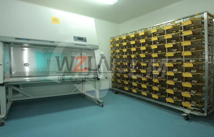 動(dòng)物實(shí)驗(yàn)室建設(shè)