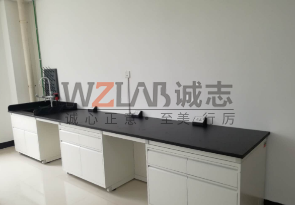 北京聯(lián)創(chuàng)種業(yè)有限公司實驗臺項目