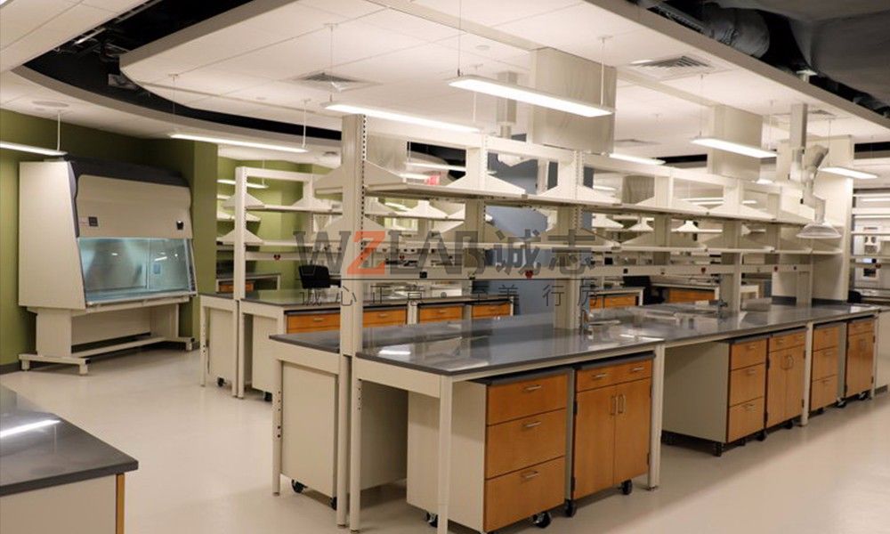 高端進(jìn)口實(shí)驗(yàn)臺(tái) 高端進(jìn)口實(shí)驗(yàn)臺(tái)