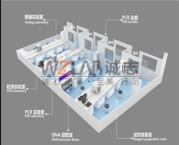 PCR實(shí)驗室設(shè)計的7大注意事項