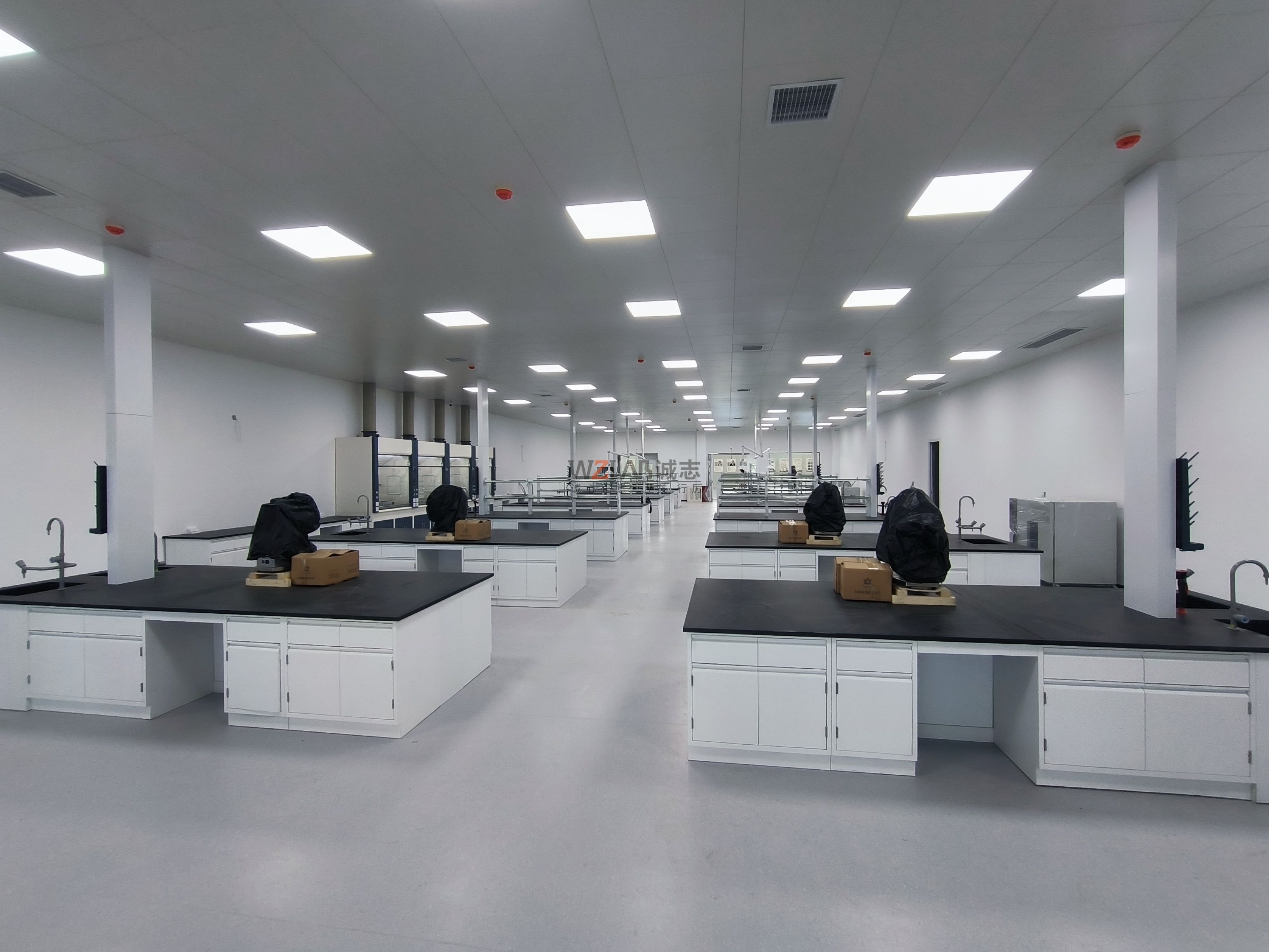 實(shí)驗(yàn)室分為哪些功能區(qū)域？