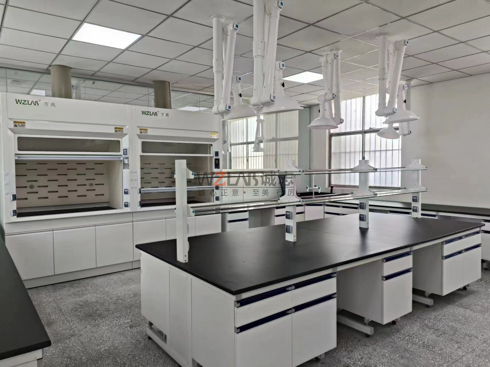 有機(jī)研發(fā)實驗室建設(shè)方案